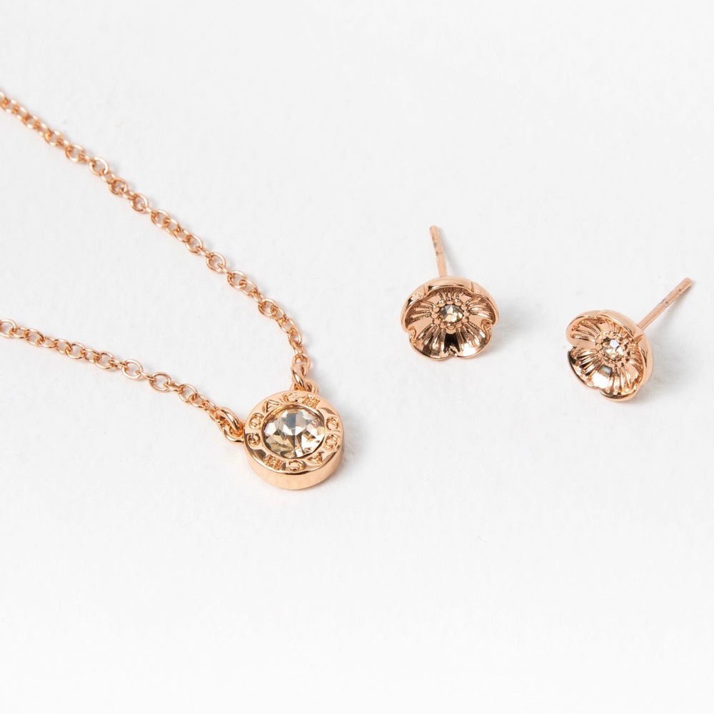 COACH Open Circle Necklace & Tea Rose Earring Set